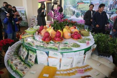海南(儋州)热带农业成果博览会开幕 达成合作投资额33亿元_新浪海南